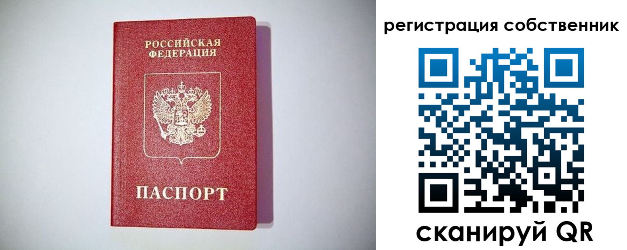 временная регистрация для школы в Волосово