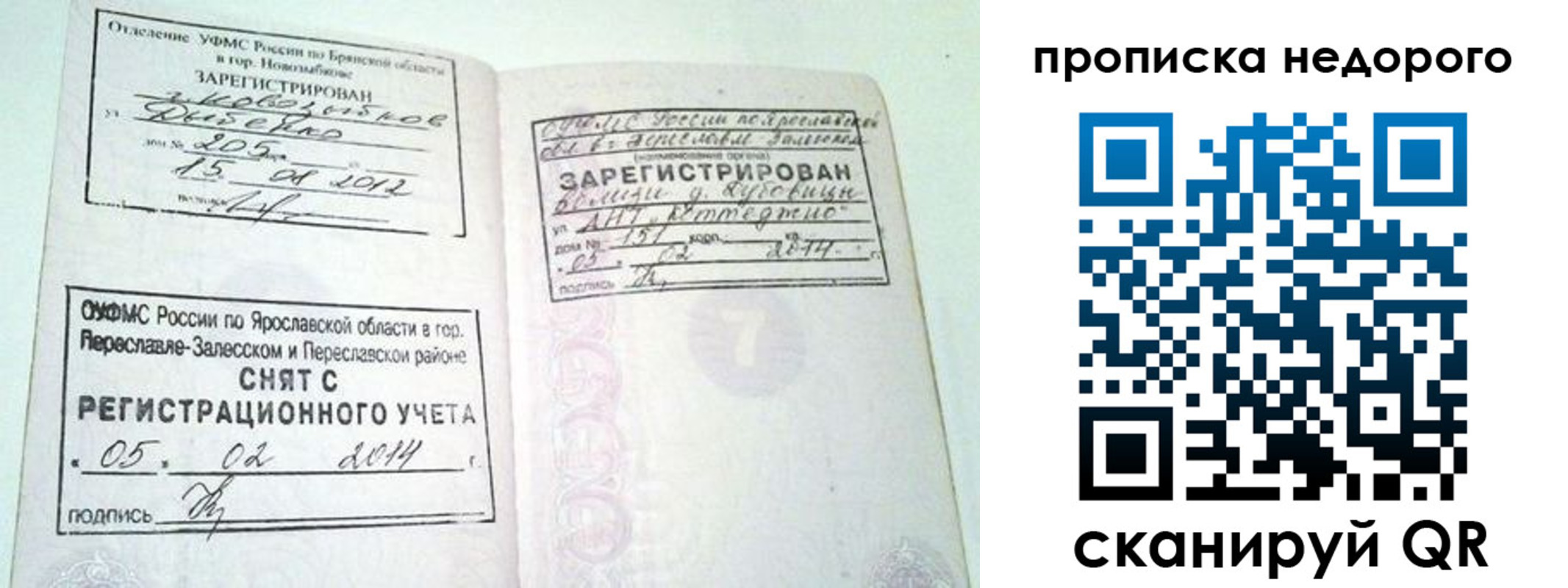 временная регистрация недорого в Волосово